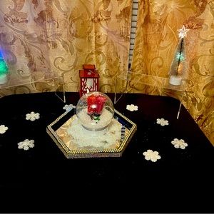 Mary Kay Vinyl Lip shine in vivid Berry and Luminous red